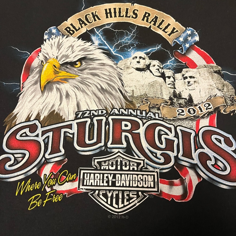 Harley-Davidson VTG Men’s T Shirt Size XL Black Hills 2012 Sturgis Rally Biker